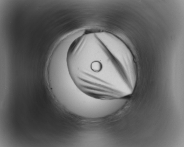 X0000088741344200706282136