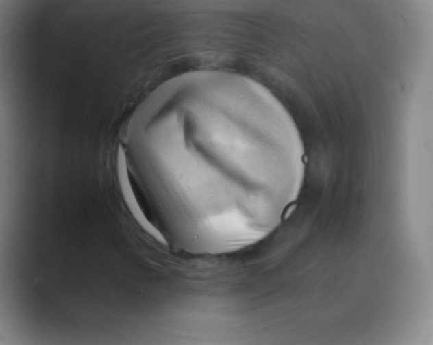 X0000088741346200706282136