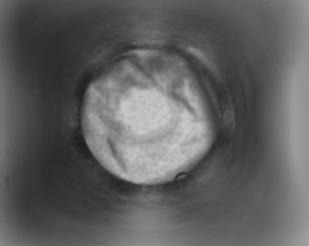 X0000088741350200706282136