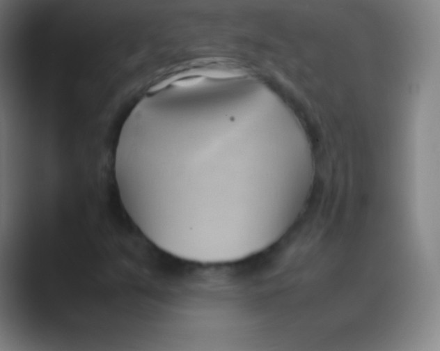 X0000088741351200706282136