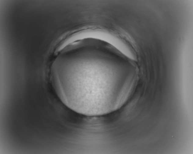 X0000088741352200706282136