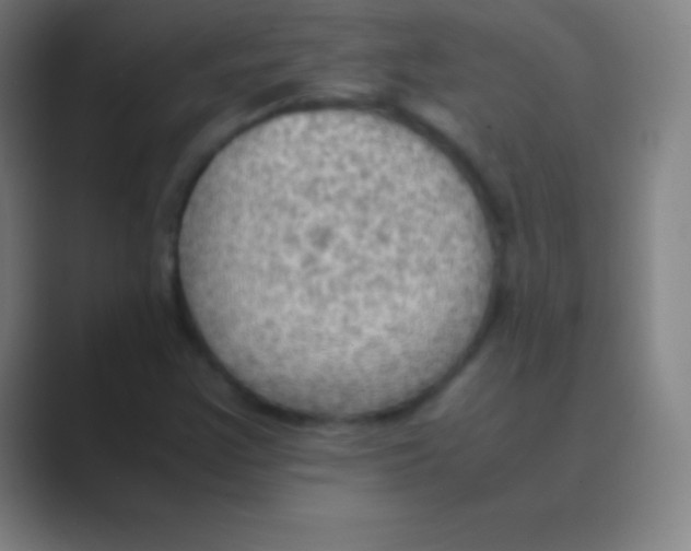 X0000088741355200706282136