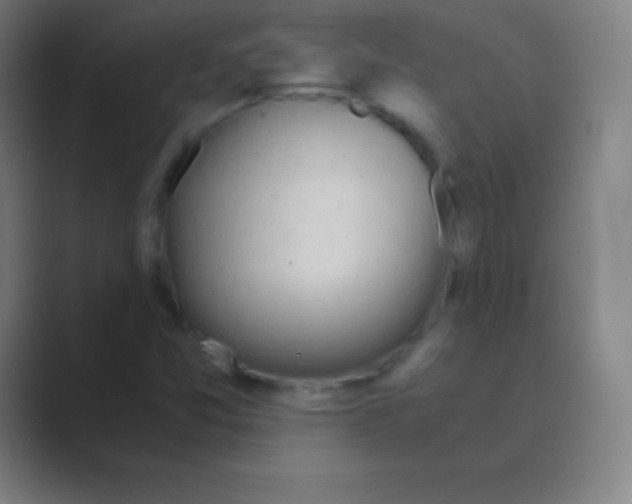 X0000088741357200706282136