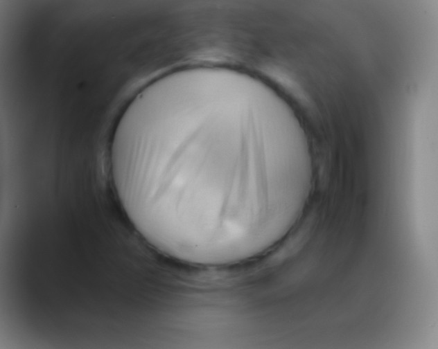 X0000088741358200706282136