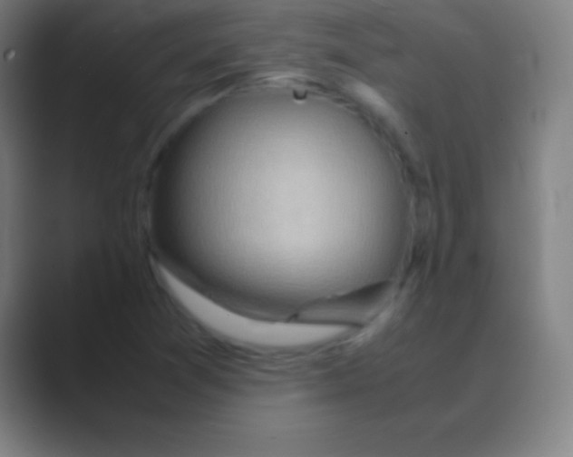 X0000088741361200706282136