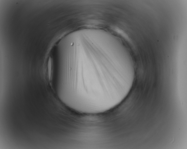 X0000088741362200706282136