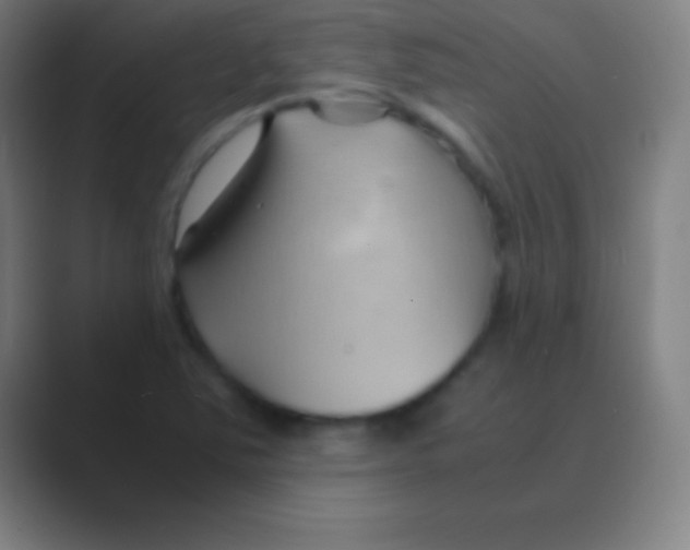 X0000088741363200706282136