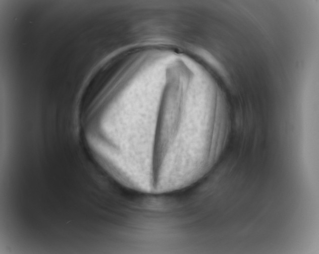 X0000088741364200706282135