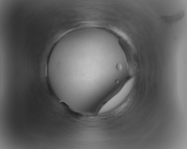 X0000088741365200706282135