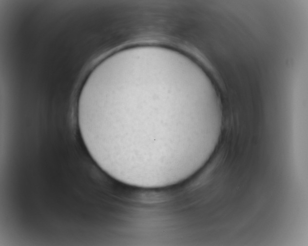 X0000088741366200706282135
