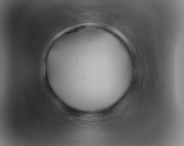 X0000088741367200706282135