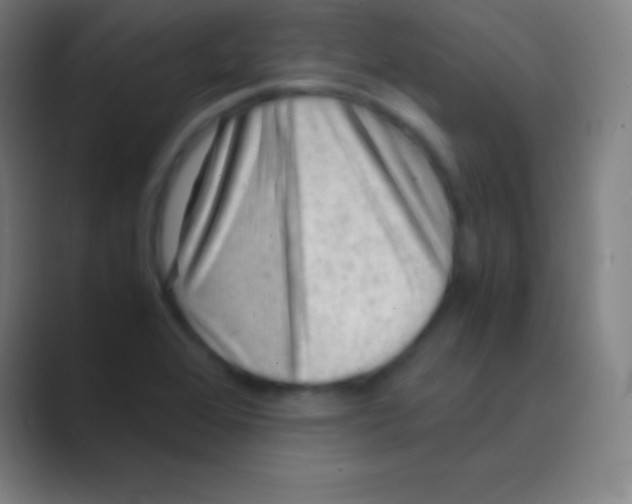 X0000088741368200706282135