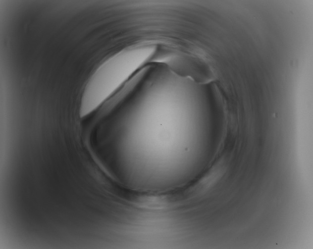 X0000088741369200706282135