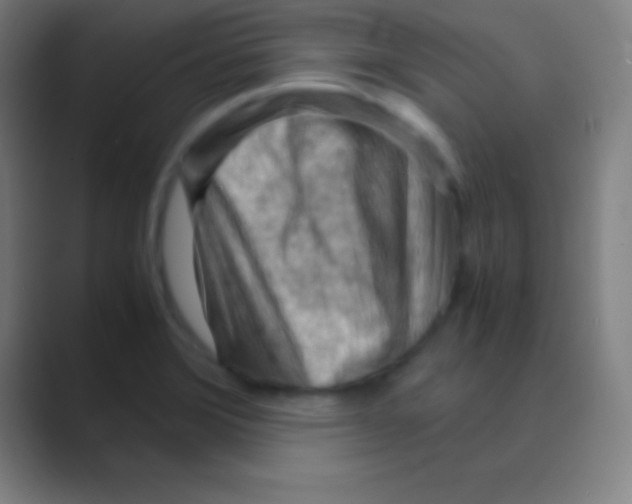 X0000088741372200706282135
