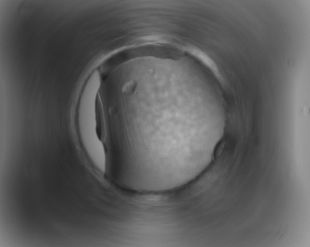X0000088741373200706282135