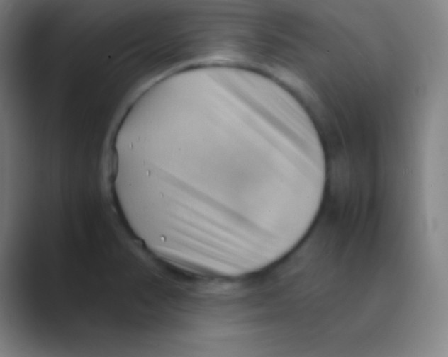 X0000088741374200706282135