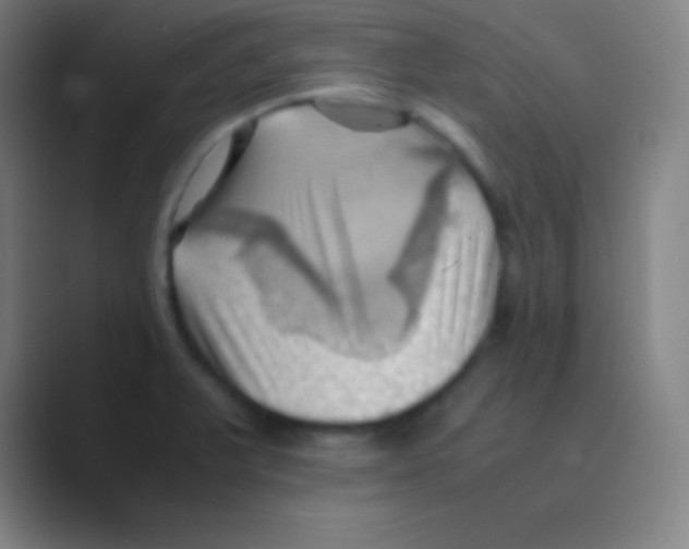 X0000088741375200706282135