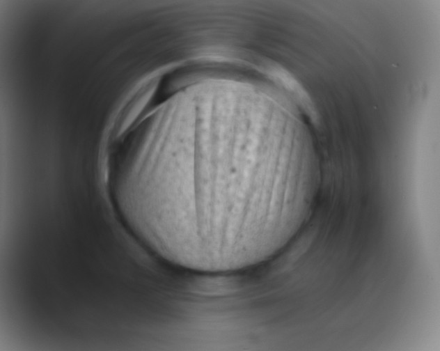 X0000088741376200706282135