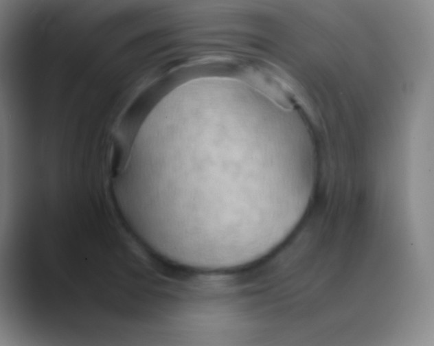 X0000088741377200706282135