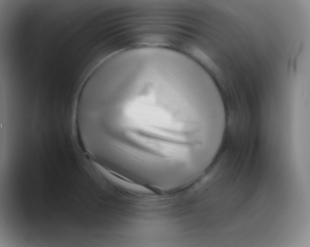 X0000088741378200706282135