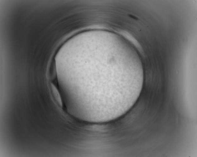 X0000088741380200706282135