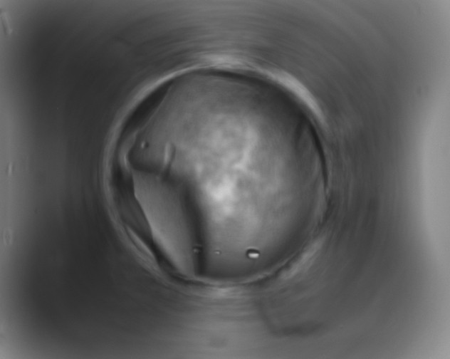X0000088741381200706282135