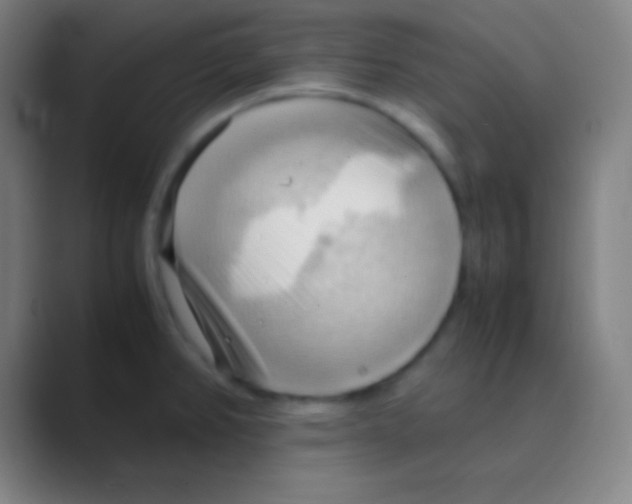 X0000088741382200706282135