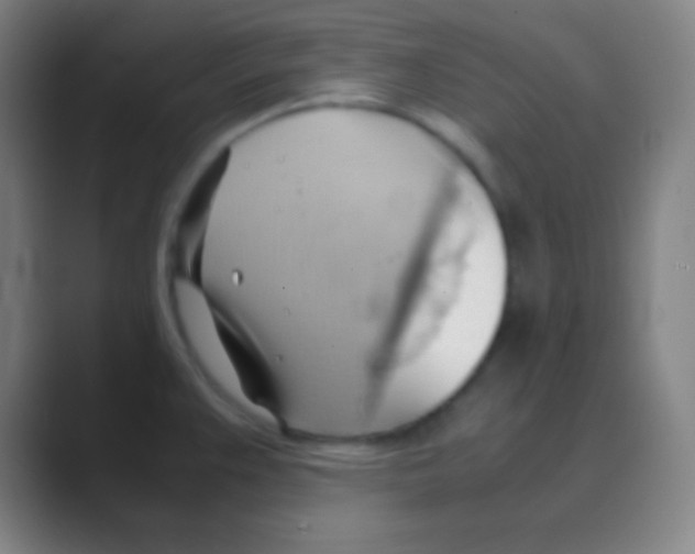 X0000088741383200706282135