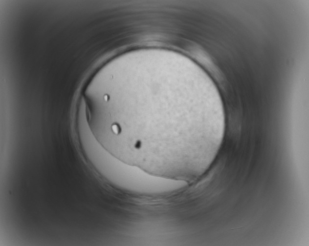 X0000088741384200706282135
