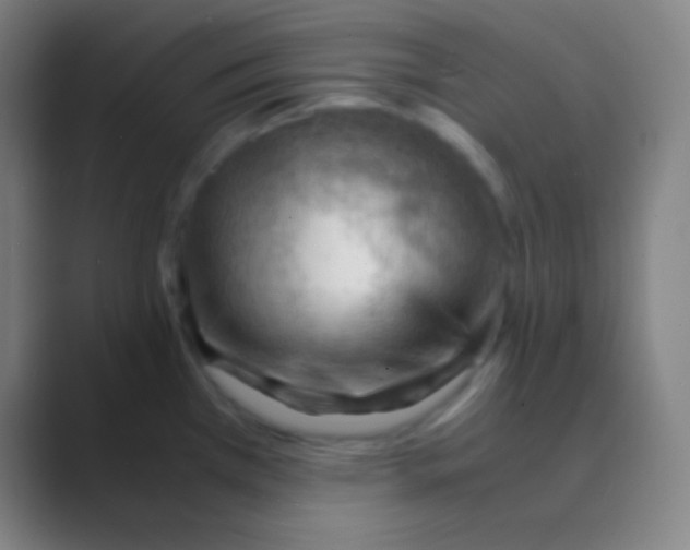 X0000088741385200706282135