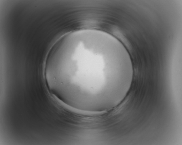 X0000088741386200706282135