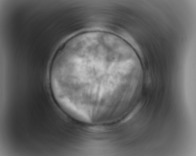X0000088741388200706282135