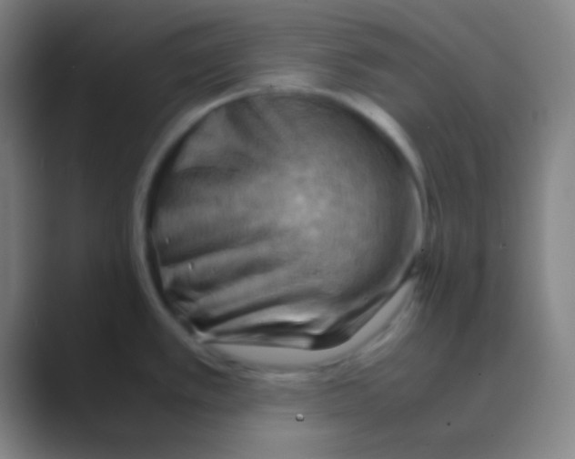 X0000088741389200706282135