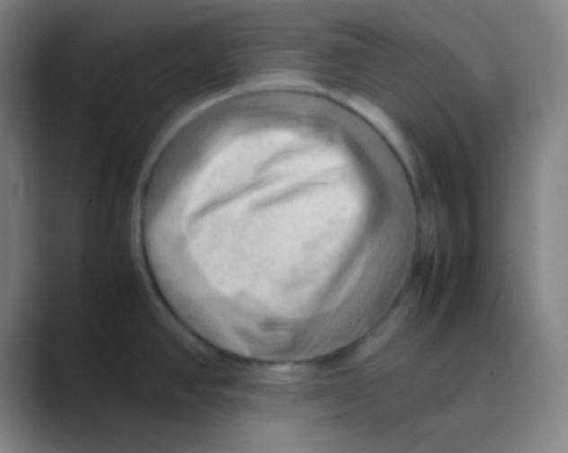 X0000088741390200706282135