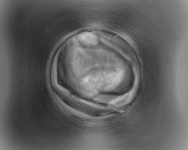 X0000088741392200706282135