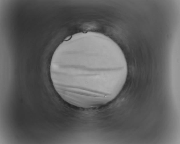 X0000088741393200706282135