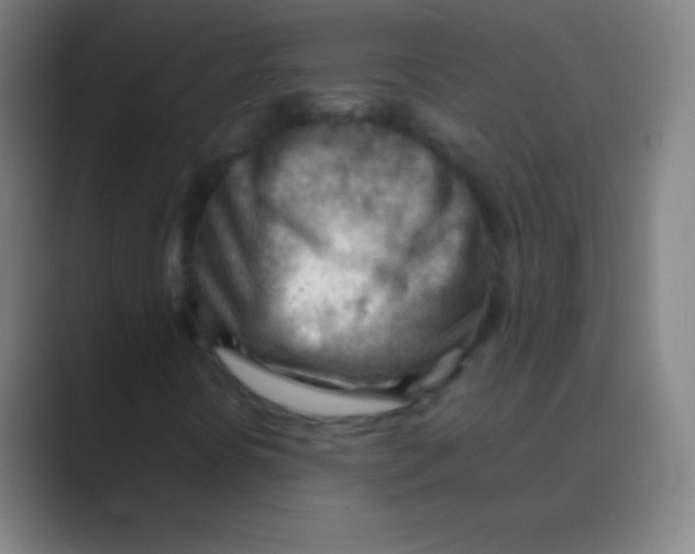 X0000088741394200706282135