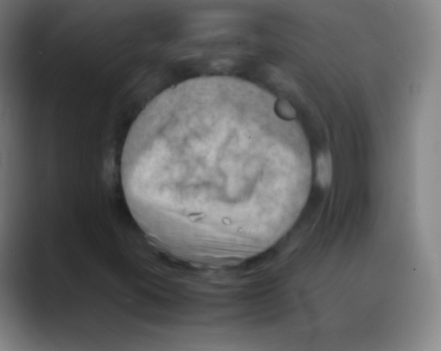 X0000088741395200706282135