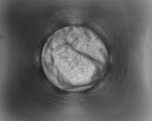 X0000088741396200706282135