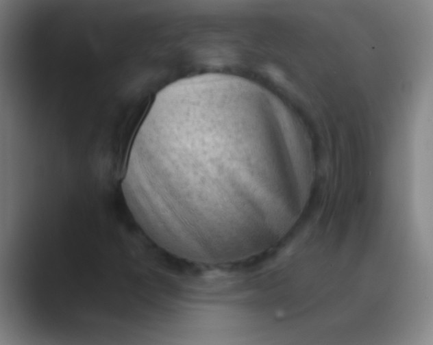 X0000088741398200706282135