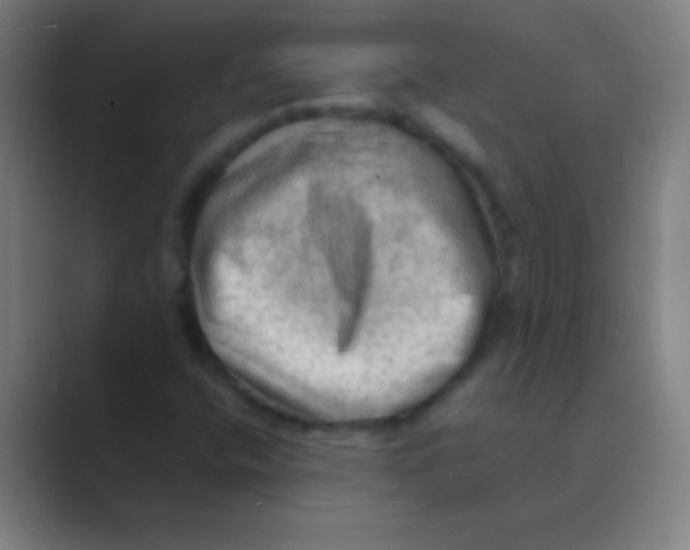 X0000088741400200706282135