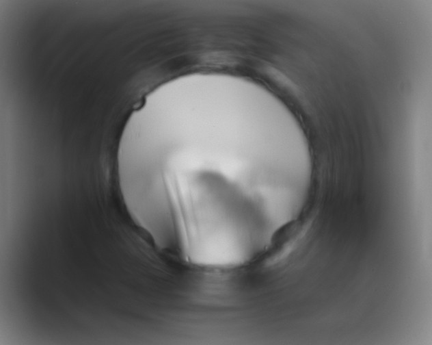 X0000088741401200706282135