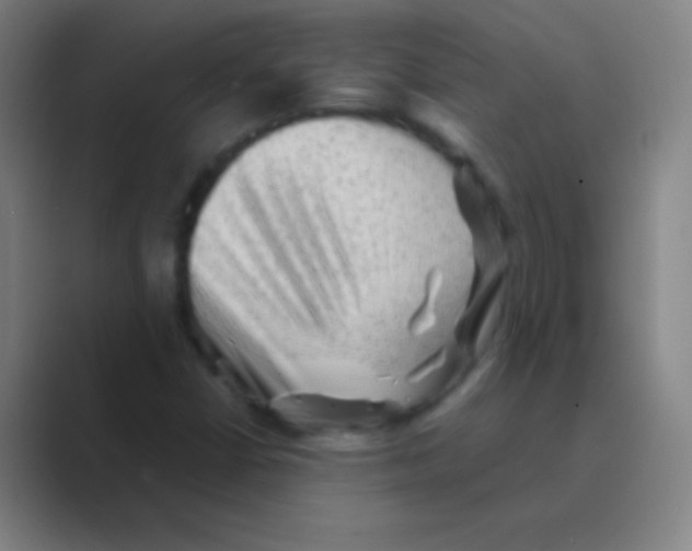 X0000088741402200706282135