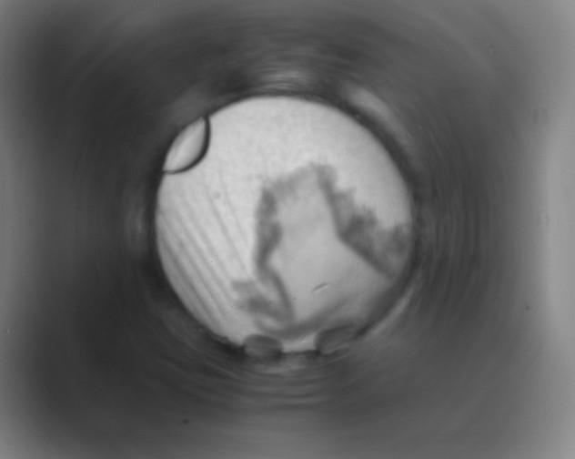 X0000088741403200706282135