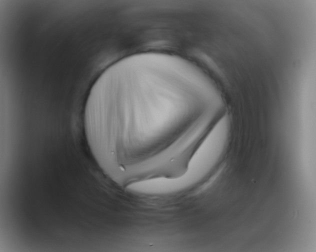 X0000088741405200706282135