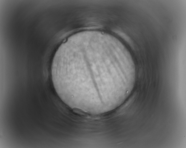X0000088741407200706282135