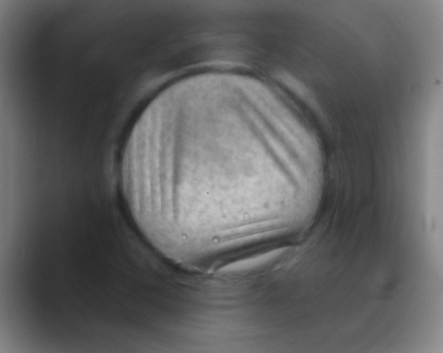 X0000088741408200706282135