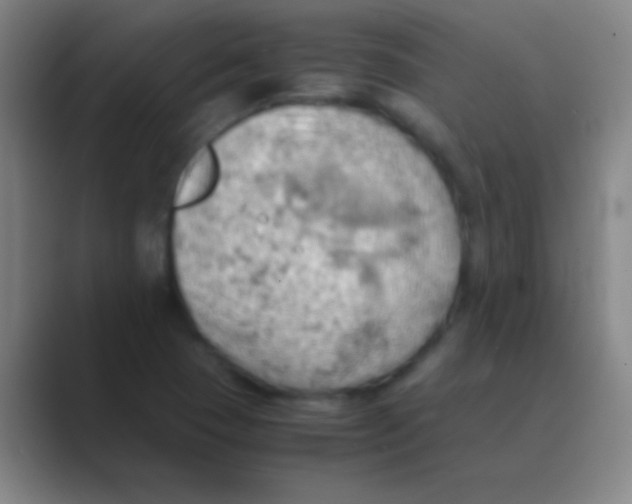 X0000088741409200706282135