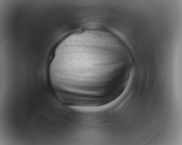 X0000088741410200706282135