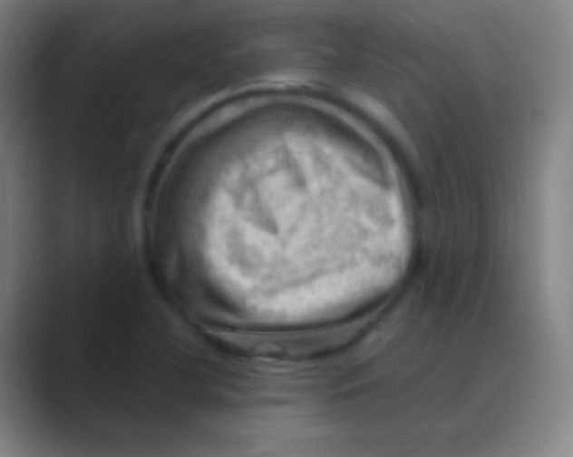 X0000088741412200706282135